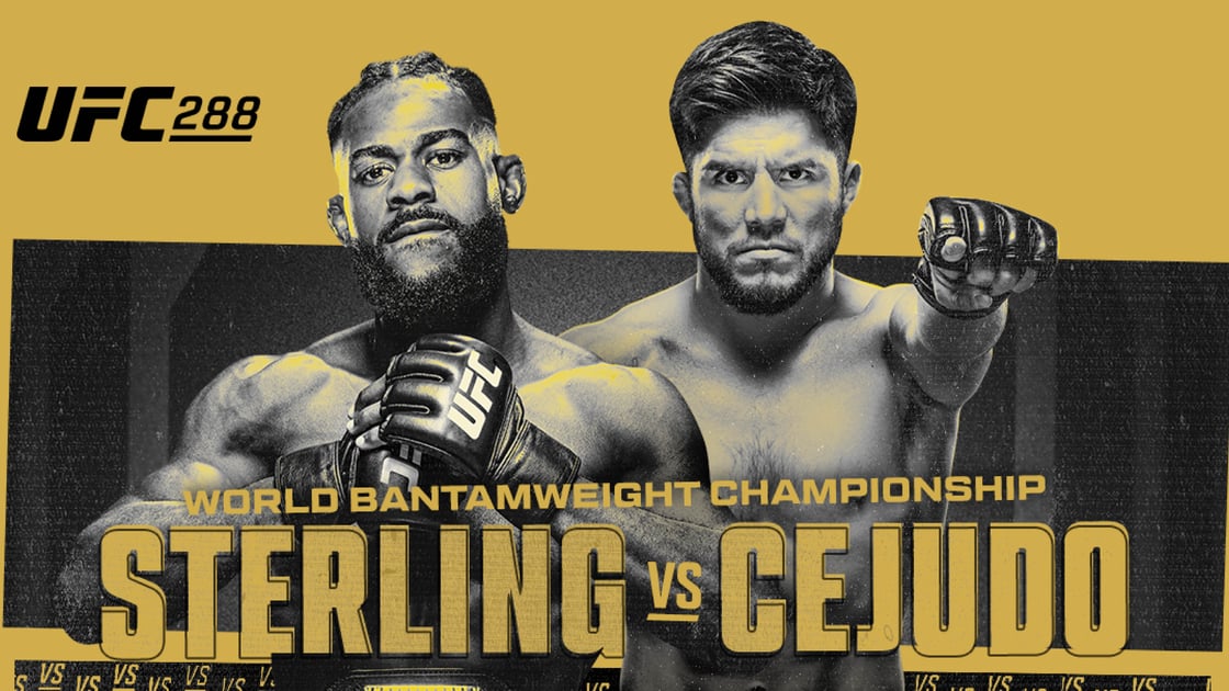 UFC 288